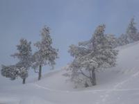 Winterimpressionen von Rigi Kulm