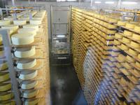 und natürlich die Regale, in denen der Käse reift