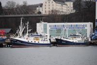 im Stadthafen Sassnitz