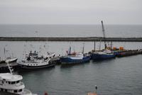 im Stadthafen Sassnitz