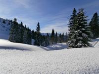 unterwegs auf dem Predigtstuhl