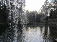 In der Iserhatsche Bispingen