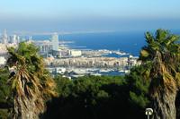 Auf dem Montjuic
