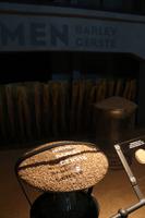 Führung in der Pilsener Urquell Brauerei - Gerste