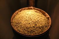 Führung in der Pilsener Urquell Brauerei - Hopfen