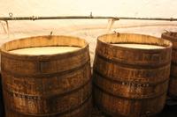Führung in der Pilsener Urquell Brauerei - Gärkeller