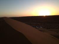 246 Wahiba Sands Wüste Oman