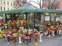 IMG_0984Blumenmarkt am Salzring