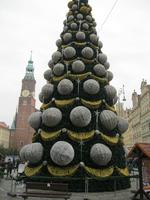 Rynek u. Weihnachtsbaum