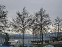 Der Blick auf den Zürichsee