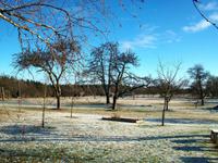 Winterliche Impressionen