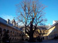 Stift Millstadt