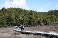 Okarito Trig Walk