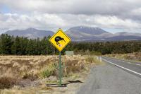 Tongariro Nationalpark