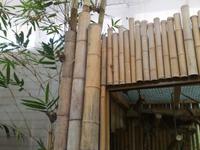 Im Schmetterlingshaus Jonsdorf