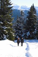 Winterwanderung am Rosskopf