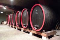 In der Weinkellerei Brigl