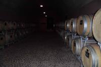 In der Weinkellerei Brigl