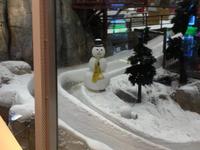 029 Ski Dubai in der Mall of the Emirates