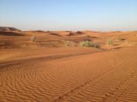 032 Jeepsafari in das 'Leere Viertel' - Rub al Khali