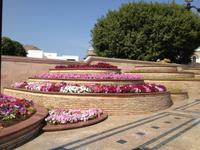 119 am Sultanspalast in Muscat (Oman)