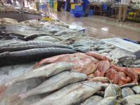 150 Fischmarkt Abu Dhabi (V.A.E.)