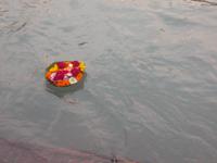 Opfergaben treiben den Ganges hinunter