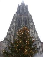 Tag 1 - 1 Besuch des Ulmer Weihnachtsmarktes (2)