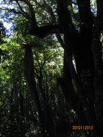 IMG_2604 Der Flora und Fauna auf der Spur