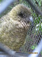 IMG_2637 Zu Besuch in der Parkanlage Rainbow Springs