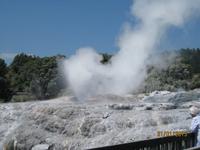 IMG_2648 Bei den heißen Qellen von Te Puia