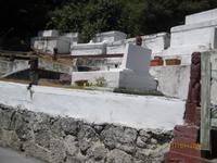 IMG_2650 Bei den heißen Qellen von Te Puia