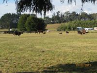 IMG_2711 Unser kurzzeitiges neues zu Hause