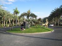 Jumeirah Beach - Dubai