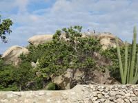 Die Casibari-Felsformationen auf Aruba
