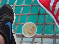 Katamaranfahrt in den Sonnenuntergang - Aruba