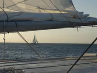 Katamaranfahrt in den Sonnenuntergang - Aruba