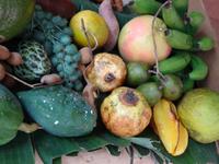 Hmm ... leckere Obstvielfalt von St. Lucia!