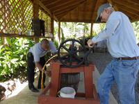 So wird Zuckerrohr verarbeitet ...