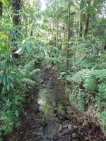 Auf dem Weg zum Emerald Pool