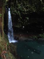 Emerald Pool - Dominica