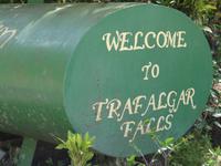 Besuch der Trafalgar Wasserfälle