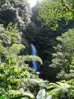 Besuch der Trafalgar Wasserfälle