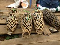 092 und Schwein als Nachtisch