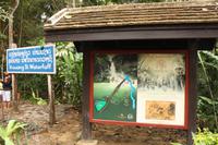 194 Fußweg zu den Kuang Si Wasserfällen