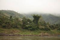 262 wunderschöne Fauna