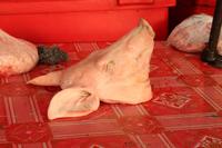 332 und Schweinsköpfe