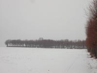 Blick zum Hernhuter Gottesacker 