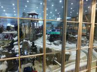 Ski Dubai in der Mall of Emirates