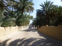 Al Ain Oase